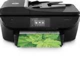 HP ink cartridge