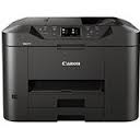 Canon ink cartridge