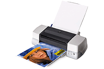 Epson ink cartridge