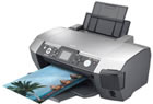 Epson ink cartridge